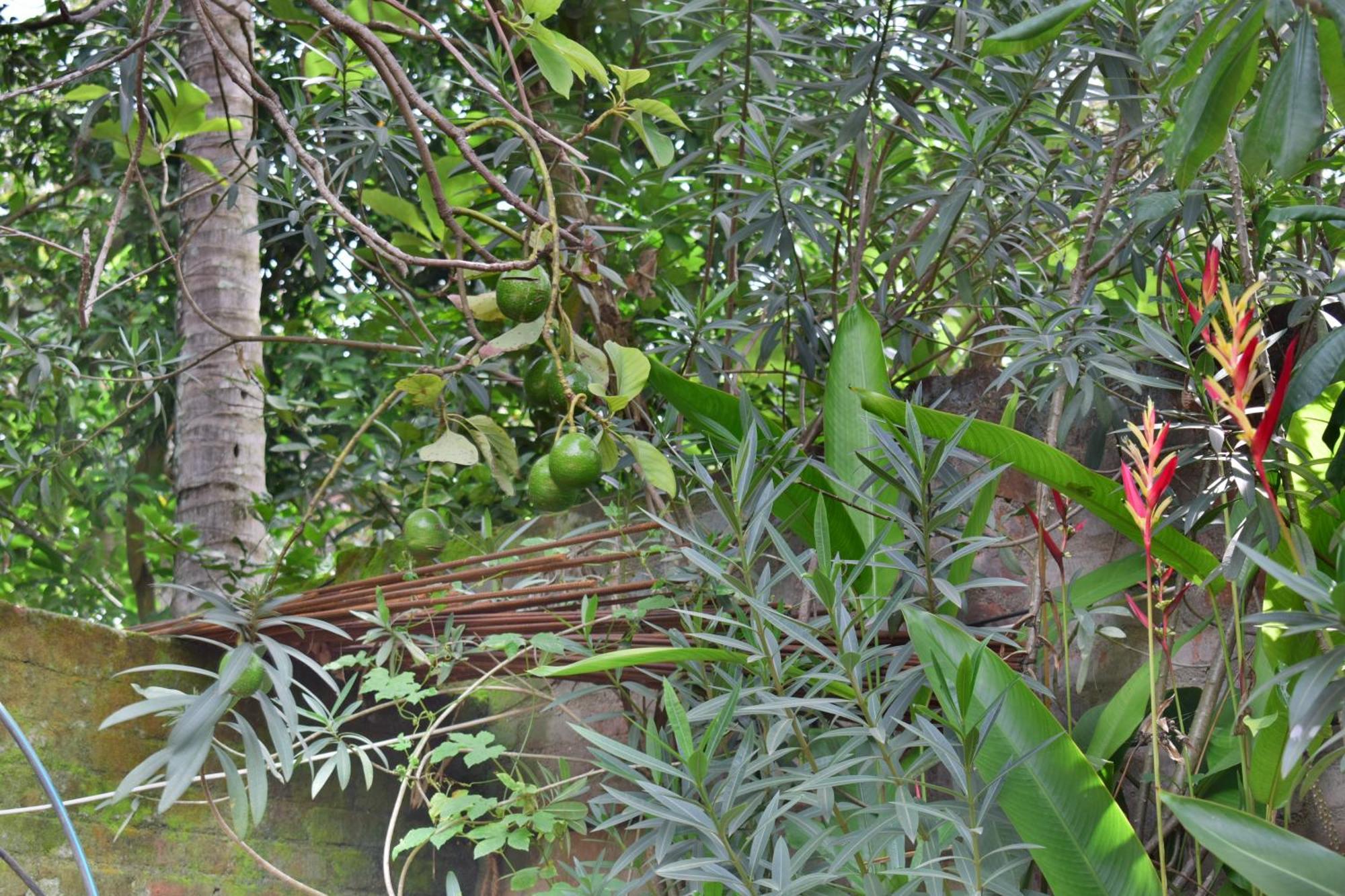 Silent Waters Resorts Yelagiri Exterior photo
