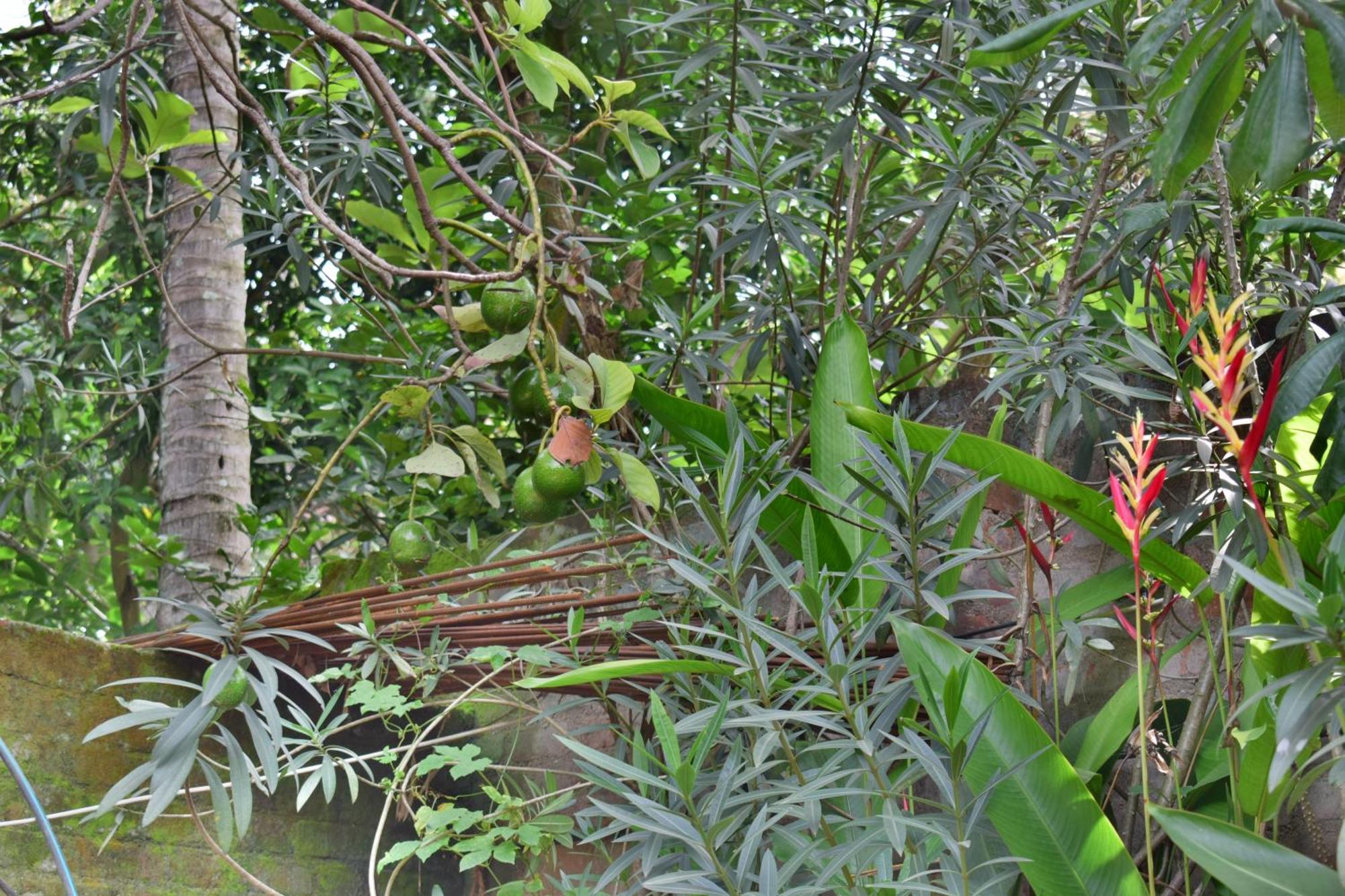 Silent Waters Resorts Yelagiri Exterior photo