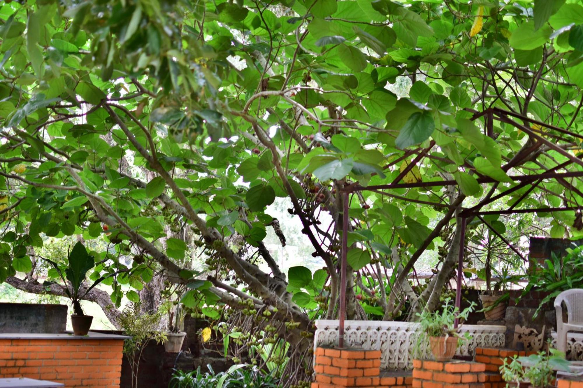 Silent Waters Resorts Yelagiri Exterior photo