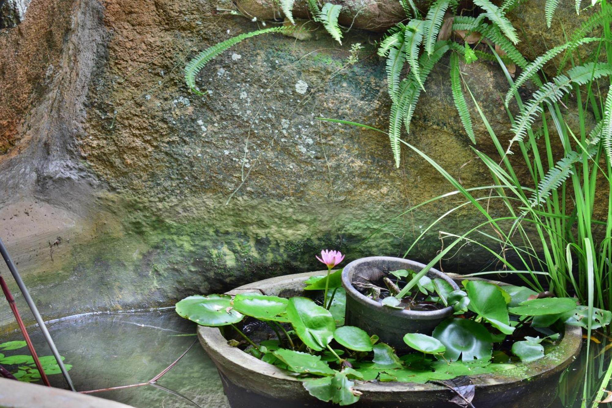 Silent Waters Resorts Yelagiri Exterior photo